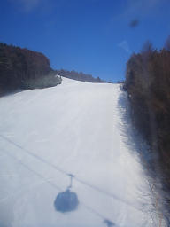 060218_000s.jpg