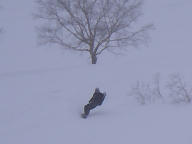 060304_008s.jpg