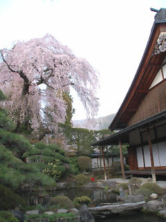 060418_005s.jpg