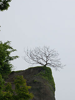 060621_008s.jpg