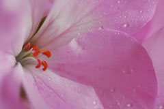 060625_012s.jpg