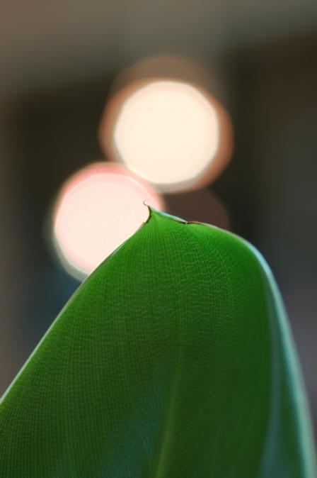 060715_004s.jpg