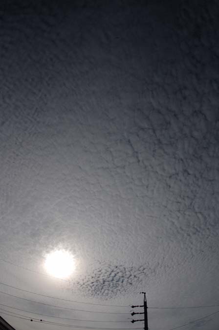 060928_007s.jpg