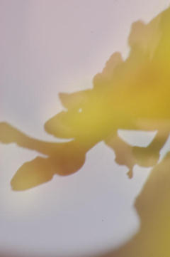 061019_01.jpg