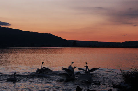 070104_010s.jpg