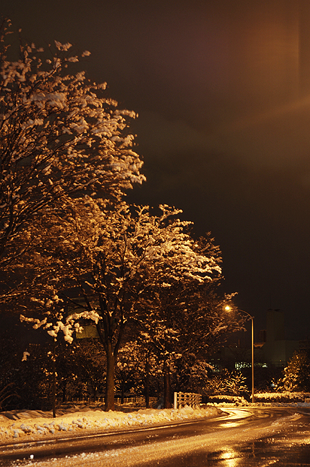 070106_012.jpg