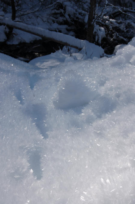070115_017s.jpg