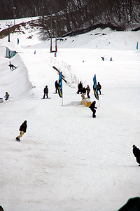 070308_001.jpg