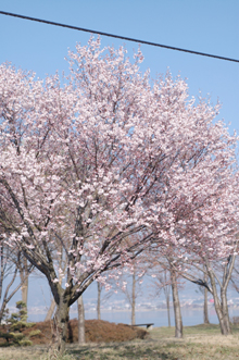 070410_001.jpg