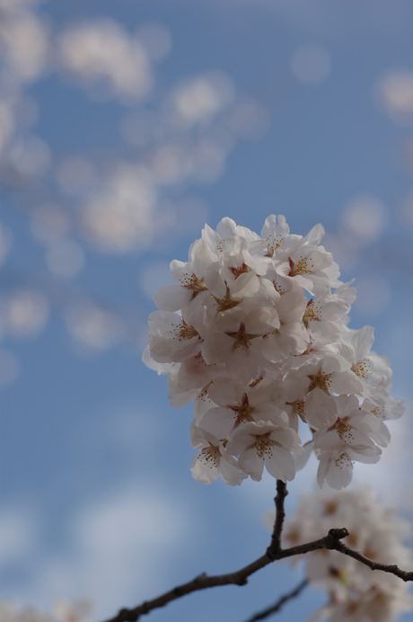 070414_1.jpg