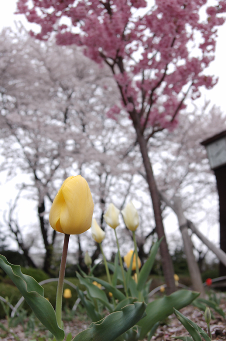 070423_023.jpg
