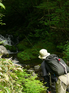 070627_017.jpg
