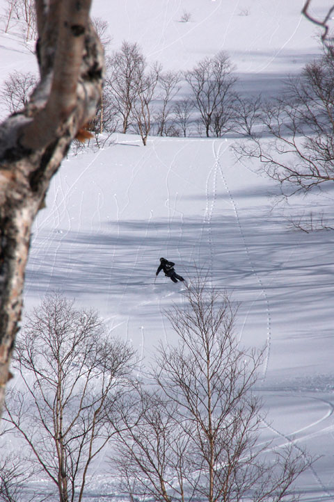 080220_014.jpg