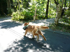 090916_pana_007.jpg